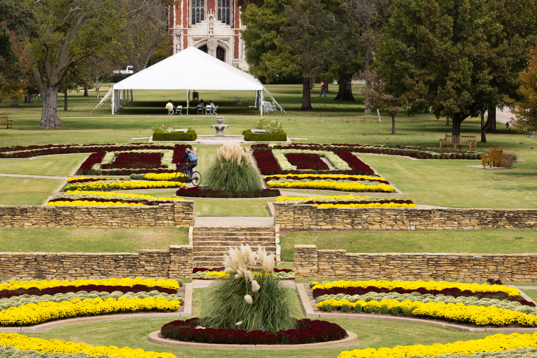 South Oval Mums